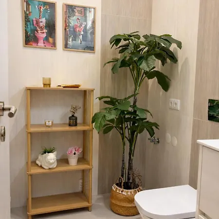 Almeida's House Βιάνα ντο Καστέλο