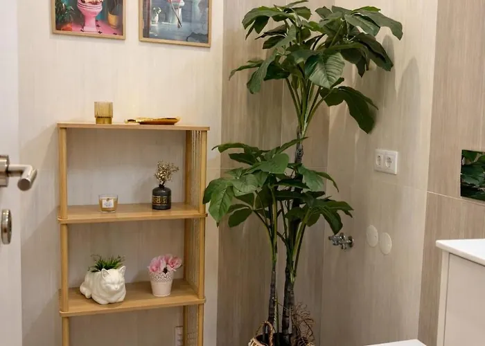 Almeida's House Viana do Castelo